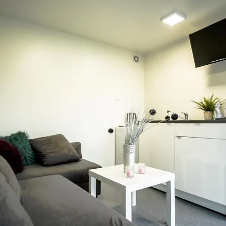 Prázdninový dům Maximus *