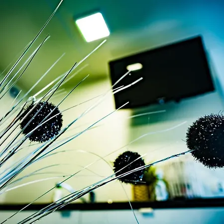 Maximus Krynica Morska