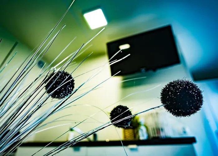 Maximus 크리니차 모르스카